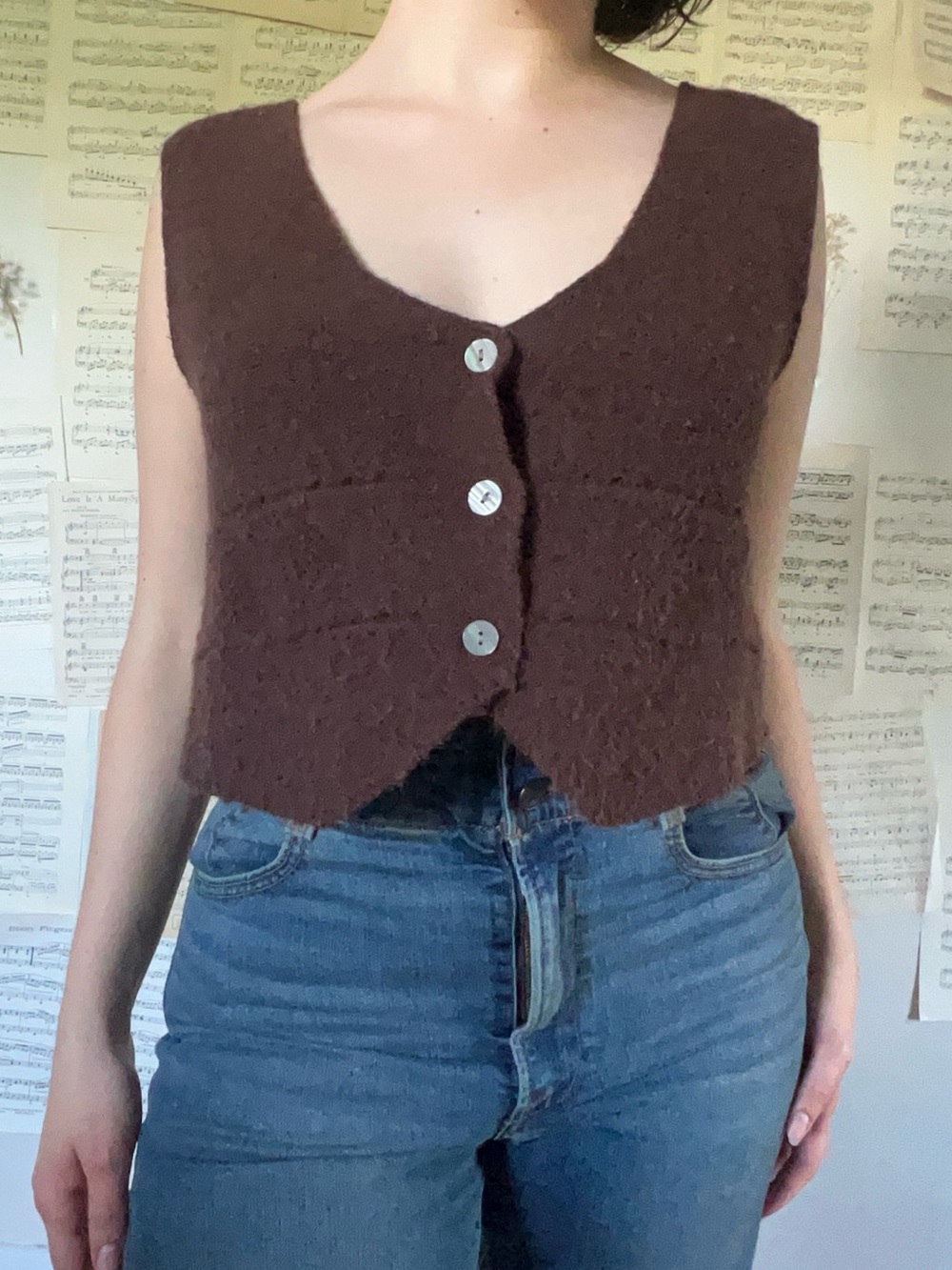 Brown Textured Knit Button-Front Vest